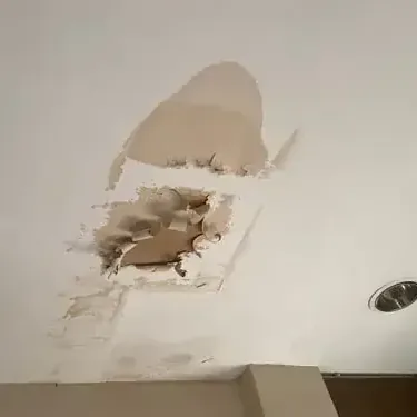 Ceiling opened where soaked drywall was cut out so the joists above can dry