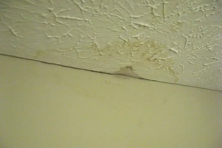 Brown water stain spreading along a cracked ceiling under a roof leak