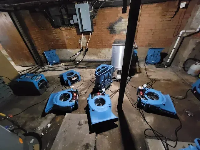 Air movers and dehumidifiers drying a brick-walled lower level